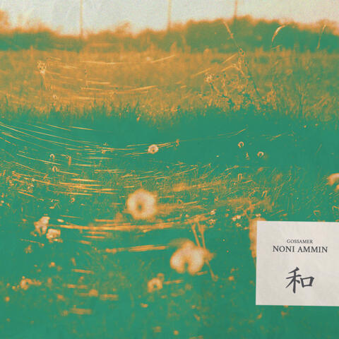 Gossamer