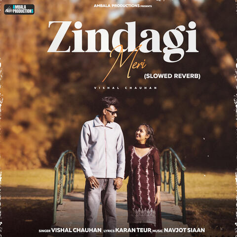 Zindagi Meri (Slowed Reverb)