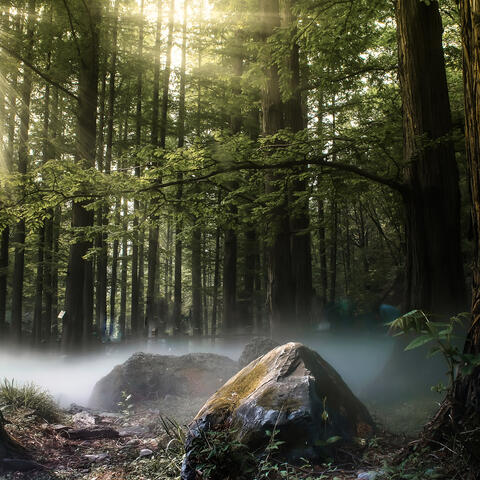 0 Hour Zen: Soundscapes for Yoga