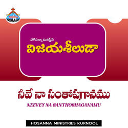 Neevey Na Santhoshaganamu