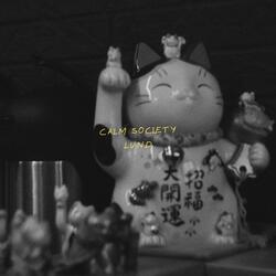calm society