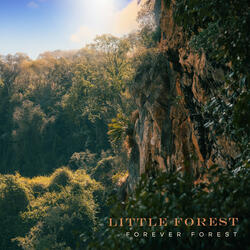 Little Forest