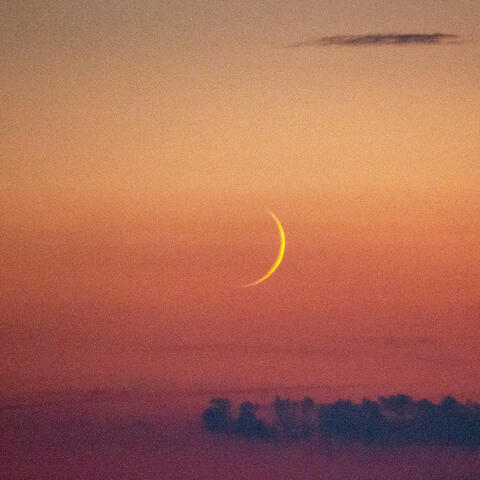 Harmonious Brown Noise