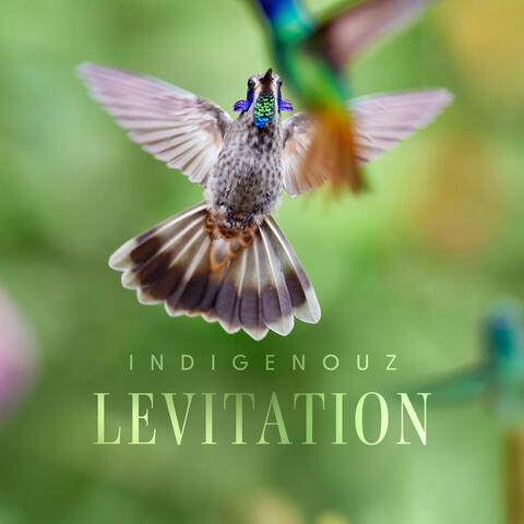 Levitation