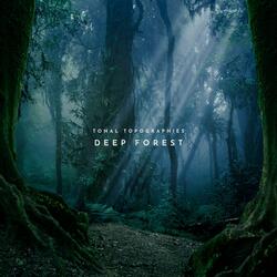Deep Forest
