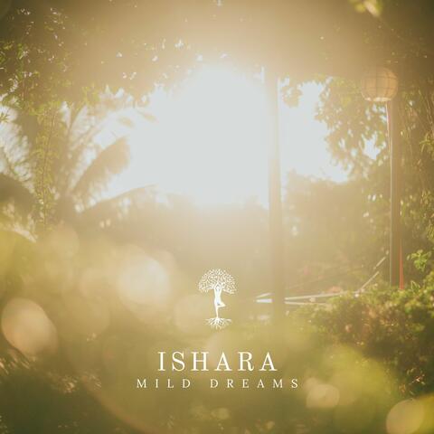 Mild Dreams