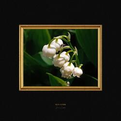 Slow Bloom