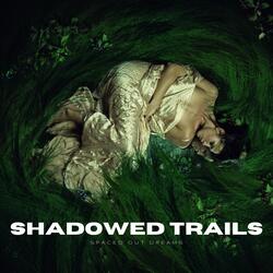Shadowed Trails