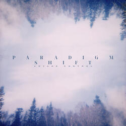 Paradigm Shift