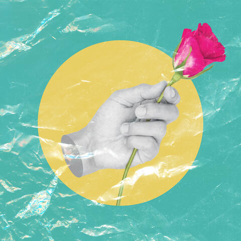 Roses are Pink