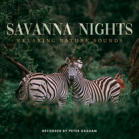 Savanna Nights