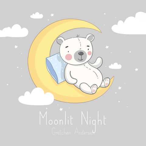 Moonlit Night