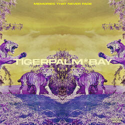 Memories That Never Fade