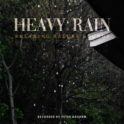 Heavy Rain