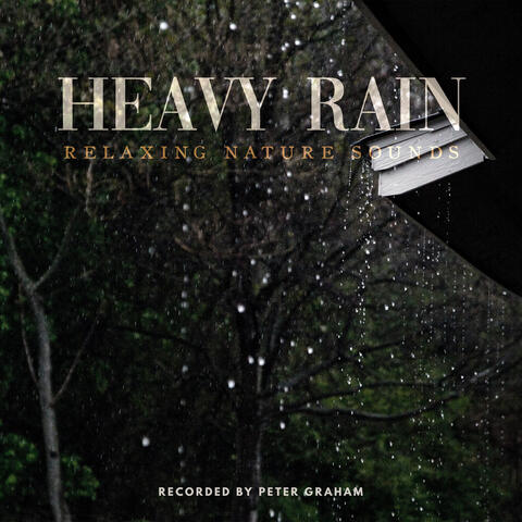 Heavy Rain