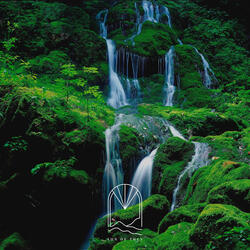 Falls