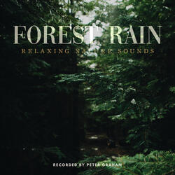 Forest Rain