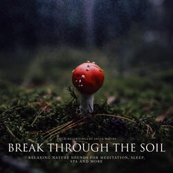 Break through the Soil