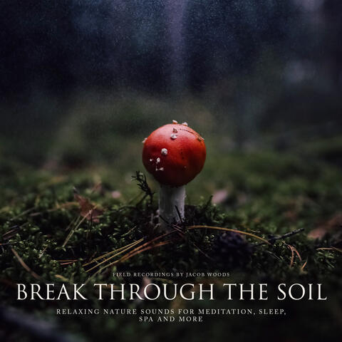 Break through the Soil