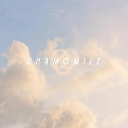 Chamomile