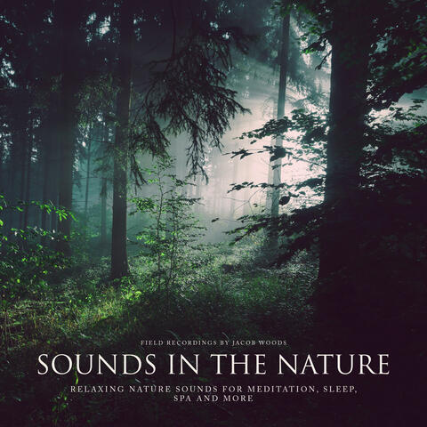 Sounds in the nature