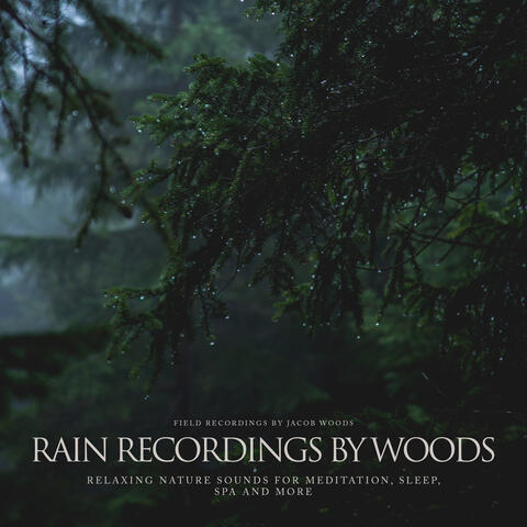 Rain Recordings By Woods