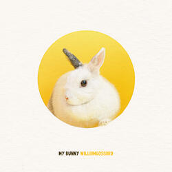 My Bunny