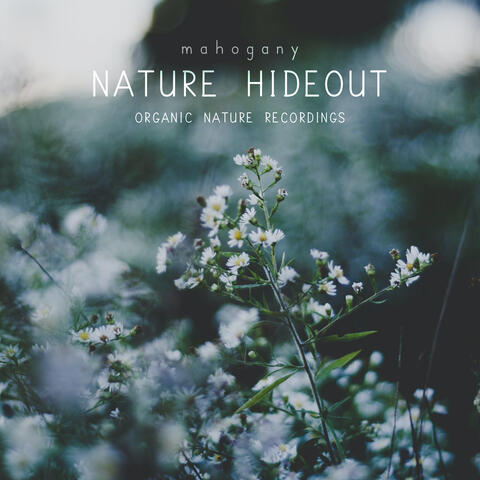 Nature Hideout