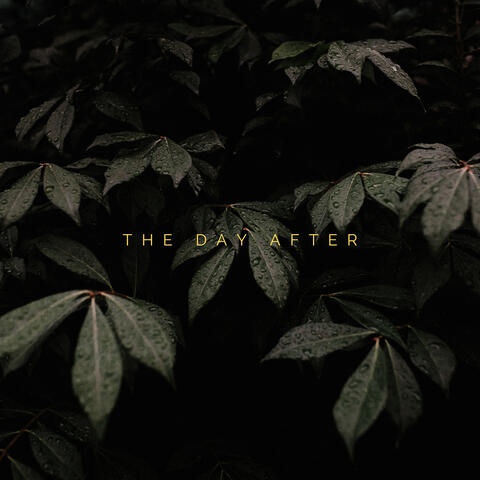 The Day After