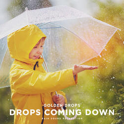 Rain Dream