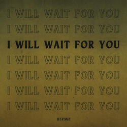 I Will Wait For You