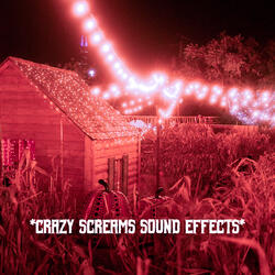 Sounds From The Back Rooms