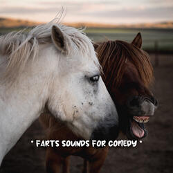 fart sounds in an empty room