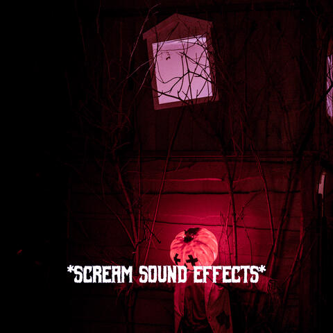 * Scream Sound Effects *