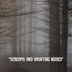 Witch Scream Sounds Scary