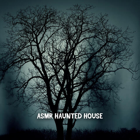 ASMR Haunted House