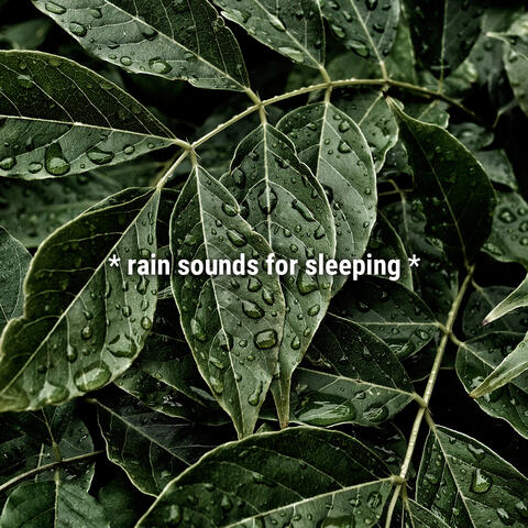 * rain sounds for sleeping *