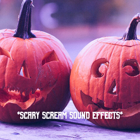 * Scary Scream Sound Effects *