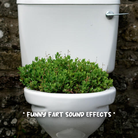 Fart Sound Effects