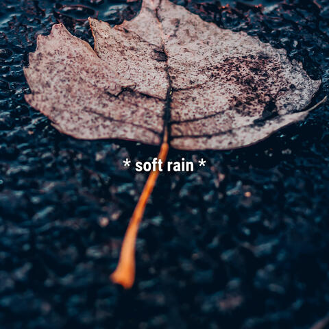 * soft rain *
