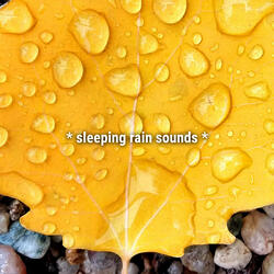 rain sounds