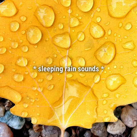 sleeping rain sounds