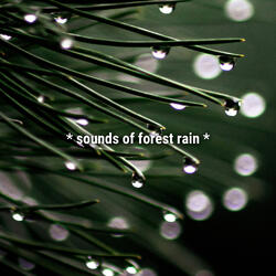 calm solfeggio rain sounds