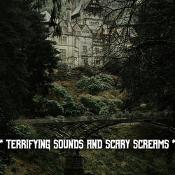 Sounds From The Devil's Playground