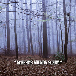 Creepy Graveyard Halloween Music.