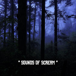 Terrifying Sounds And Scary Screams