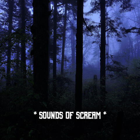 * Sounds Of Scream *