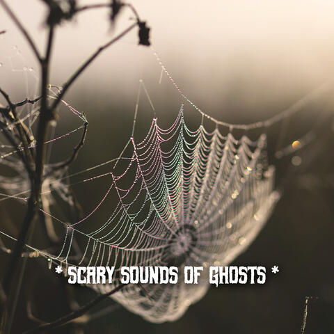* Scary Sounds Of Ghosts *