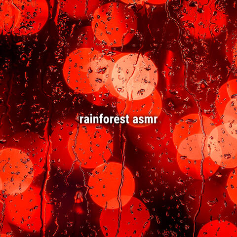 rainforest asmr