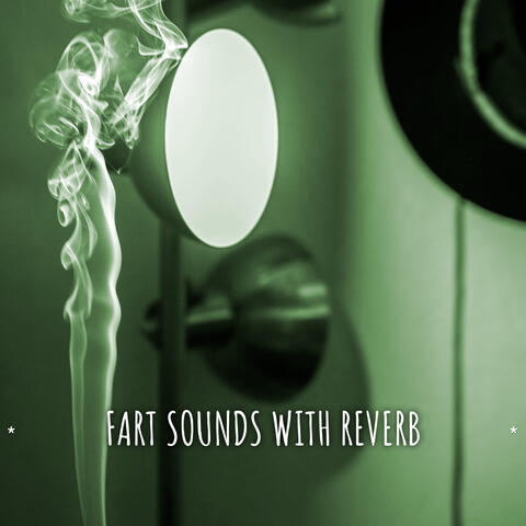 * FART SOUNDS WITH REVERB *